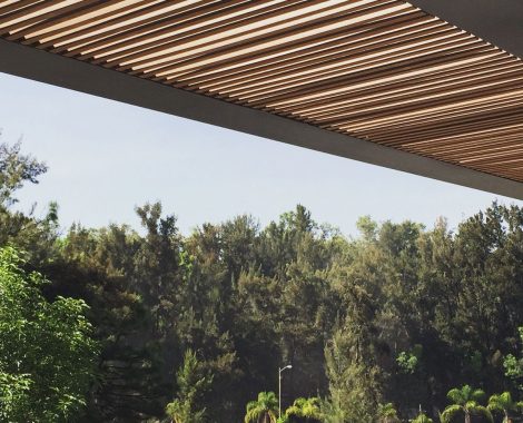 palapas and pergolas in Playa del Carmen